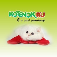 Кот Давинчи